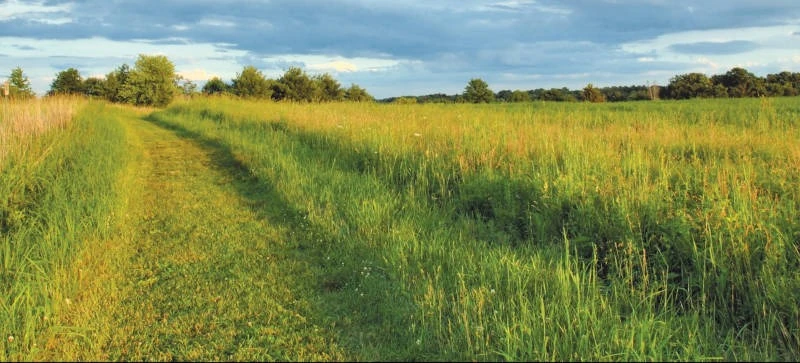 Farm Land