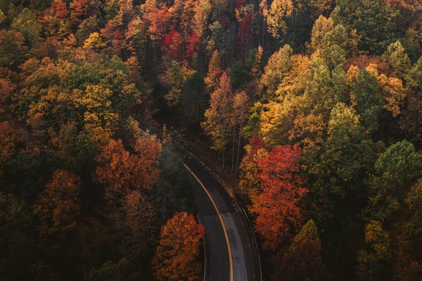 Winding road in Autumn