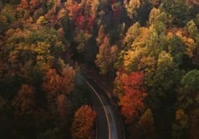 winding-road-in-autumn